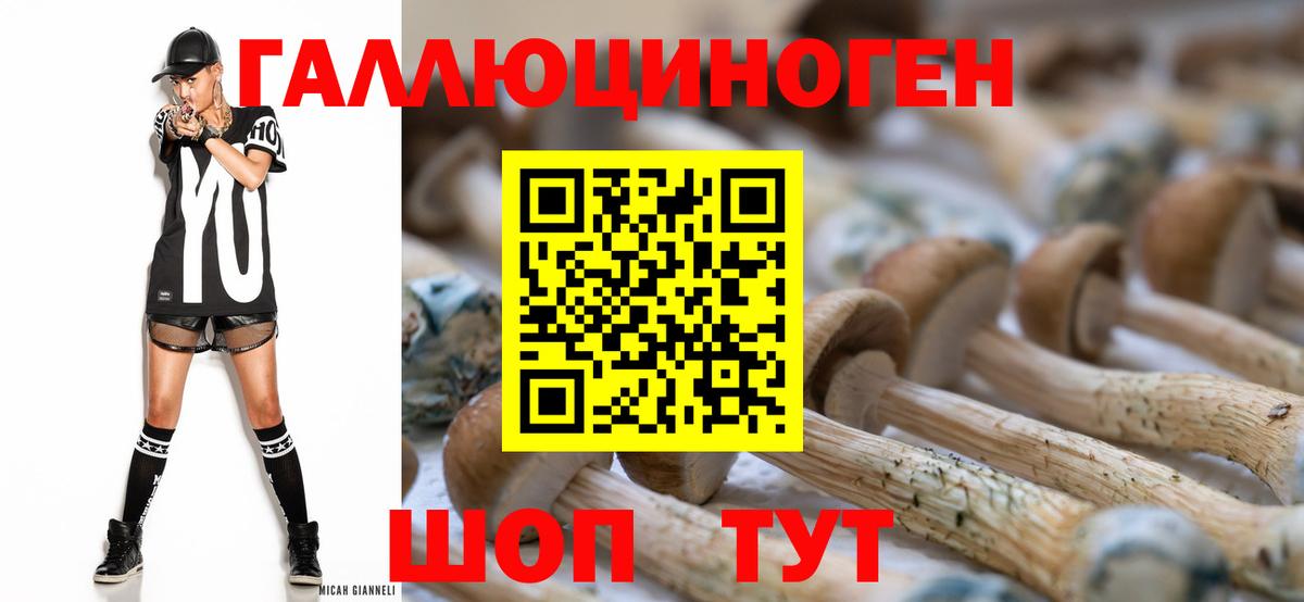Галлюциногенные грибы Psilocybe  Галлюциногенные грибы Psilocybe  Луховицы  Вход с VPN 